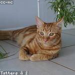 @katharina38_893 Profile Picture