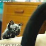 @ifeil_374 Profile Picture