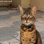 @legros.chaz_649 Profile Picture