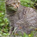 @jmayer_120 Profile Picture