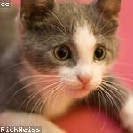 @heller.clovis_963 Profile Picture