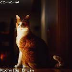 @jayde28_694 Profile Picture