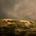 @schmitt.rowland_185 Profile Picture