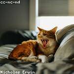 @gbahringer_736 Profile Picture