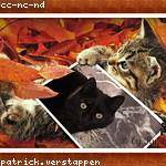 @hills.gaston_998 Profile Picture