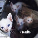 @geovany59_465 Profile Picture