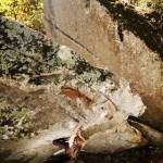 @sally70_502 Profile Picture