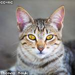 @marvin19_490 Profile Picture