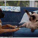 @lwolff_781 Profile Picture