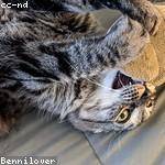 @nigel24_247 Profile Picture