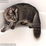 @brakus.flossie_708 Profile Picture