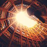 @braun.filiberto_603 Profile Picture