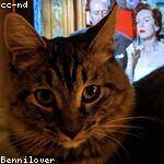 @dickinson.cletus_997 Profile Picture