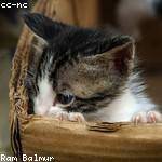 @sabryna78_337 Profile Picture