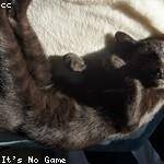 @lina04_409 Profile Picture