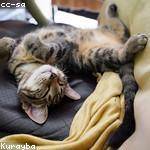 @preston75_247 Profile Picture