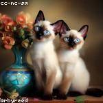 @qernser_353 Profile Picture