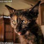 @tyson_nicolas_520 Profile Picture